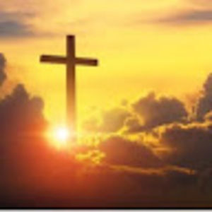 Meet your Posher, Caitlyn